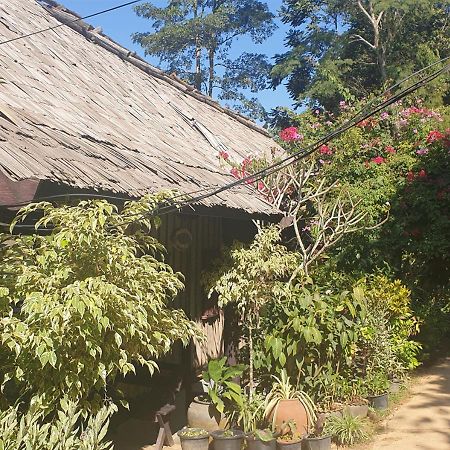 Nong Kiau Riverside Nongkhiaw Exterior foto